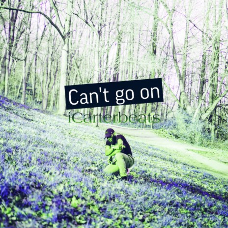 Cant go on | Boomplay Music