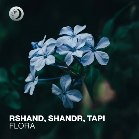 Flora ft. shandr & TAPI | Boomplay Music