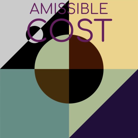 Amissible Cost