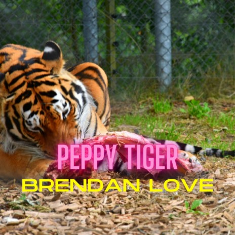 Peppy Tiger | Boomplay Music