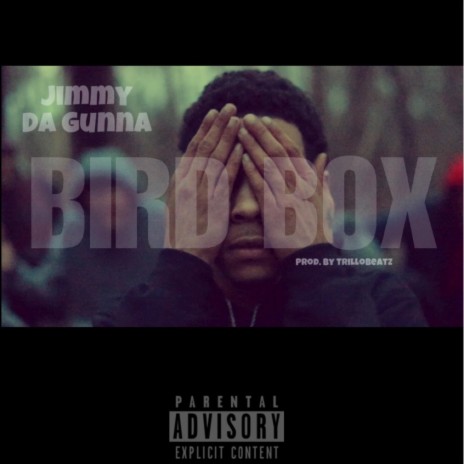 Bird Box | Boomplay Music