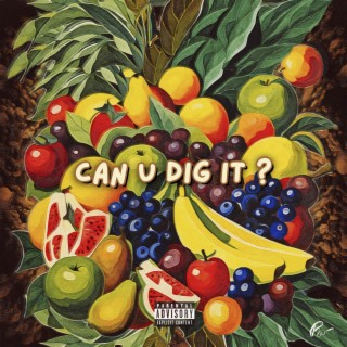 CAN U DIG IT?