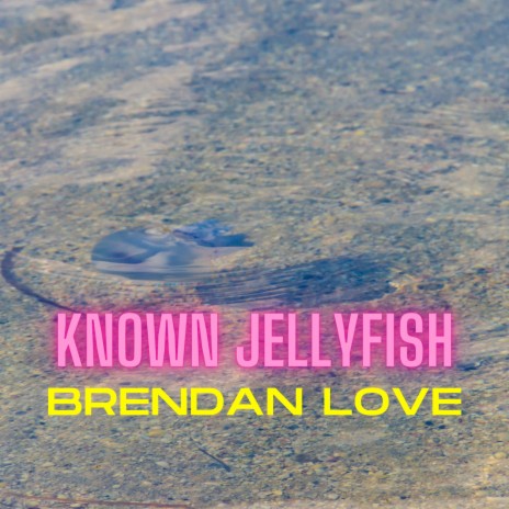 Known Jellyfish | Boomplay Music