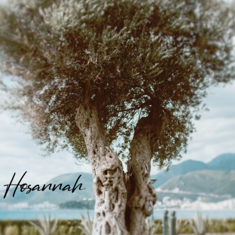 Hosannah | Boomplay Music