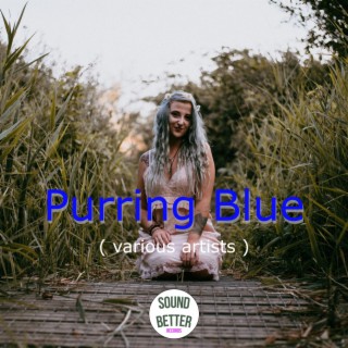 Purring Blue
