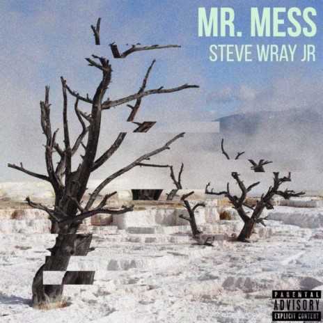 Mr. Mess