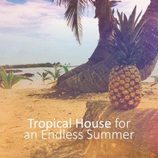 Tropical House for an Endless Summer