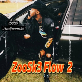ZooSk3 Flow 2