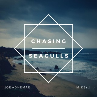 Chasing Seagulls lyrics | Boomplay Music
