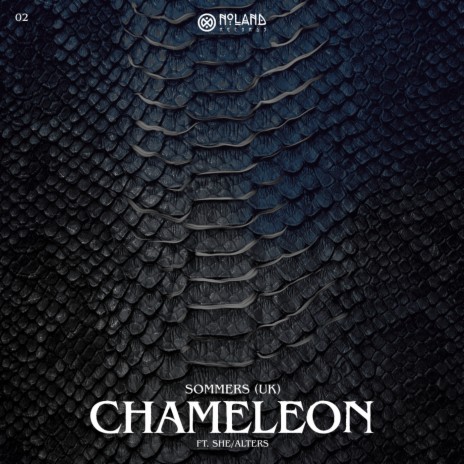Chameleon (Extended Mix) ft. SHE/ALTERS | Boomplay Music