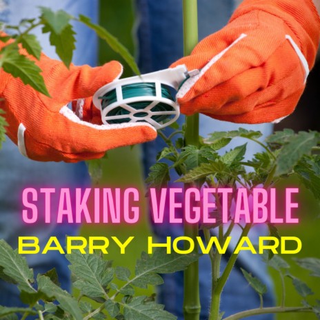 Staking Vegetable