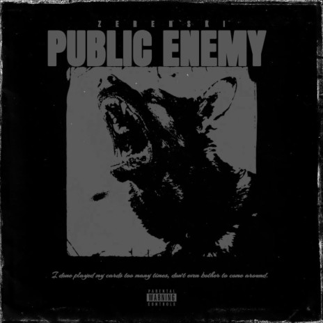 Public Enemy (Single Version) | Boomplay Music