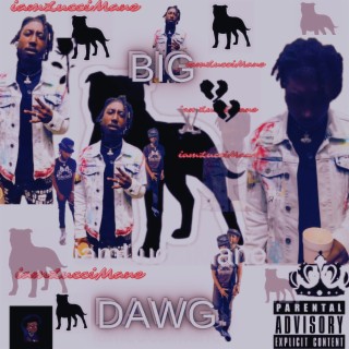 Big Dawg