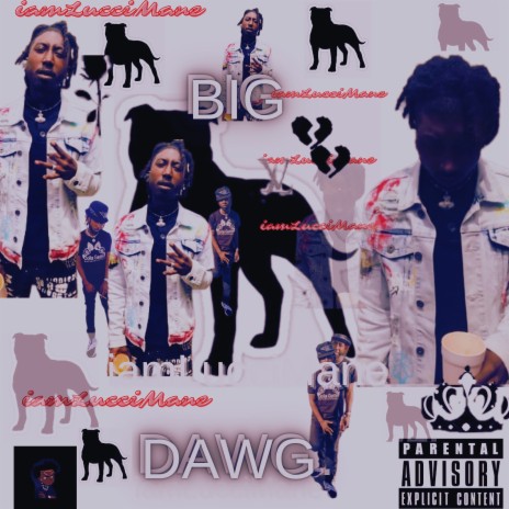 Big Dawg | Boomplay Music