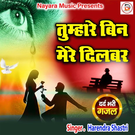 Tumhare Bin Mere Dilbar (Hindi) | Boomplay Music