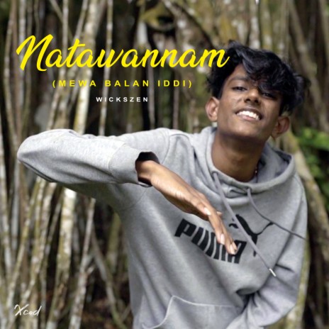 Natawannam (Mewa Balan Iddi) | Boomplay Music
