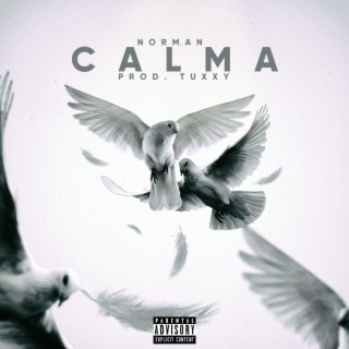 Calma ft. Tuxxy lyrics | Boomplay Music