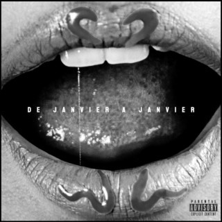 De janvier à janvier lyrics | Boomplay Music