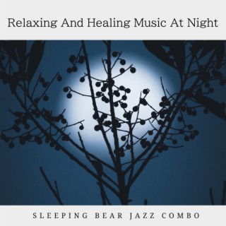 Relaxing And Healing Music At Night