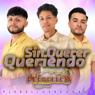 Sin Querer Queriendo lyrics | Boomplay Music