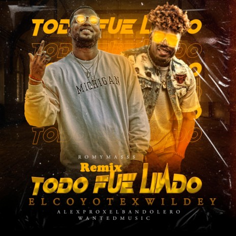 Todo Fue Lindo (Remix) ft. Wildey | Boomplay Music