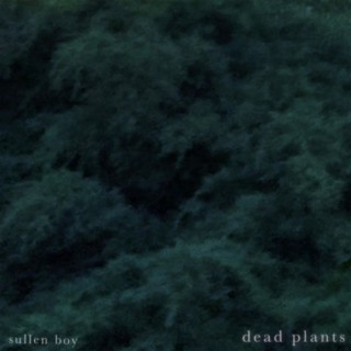 dead plants