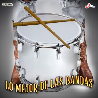 Lo Mejor de las Bandas