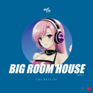 The Best of Big Room House, Vol.2