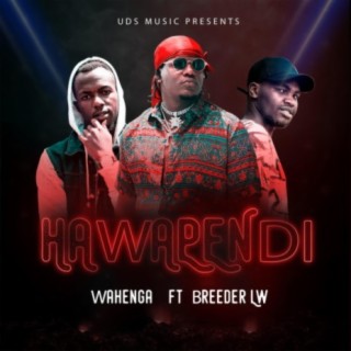 Hawapendi (feat. Breeder LW)