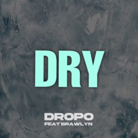 DRY ft. Brawlyn | Boomplay Music