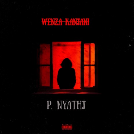 WENZA KANJANI ft. VICALLY x SHEZ & THALALA | Boomplay Music