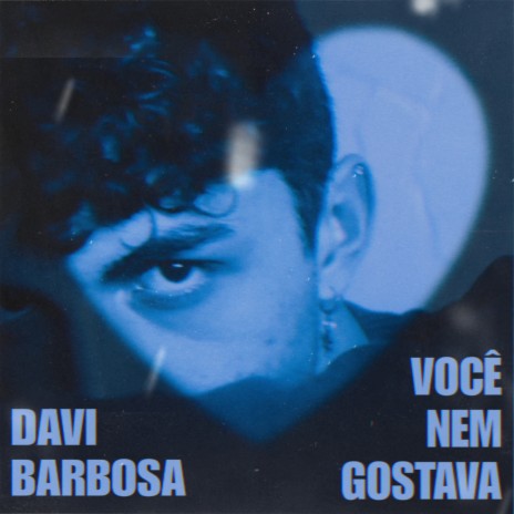 Você Nem Gostava