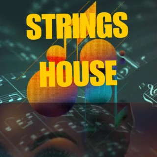 Shinning Star house strings(2024)