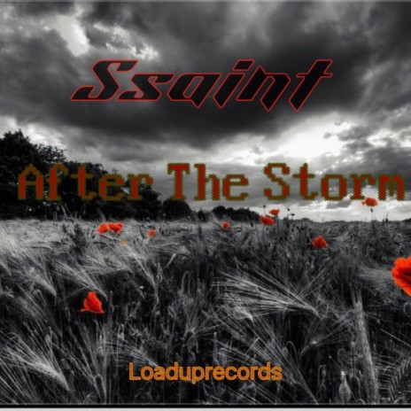 After The Storm ft. Loaduprecords | Boomplay Music