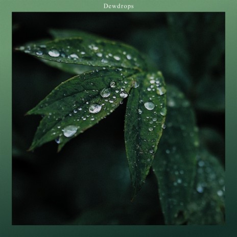 Dewdrops | Boomplay Music
