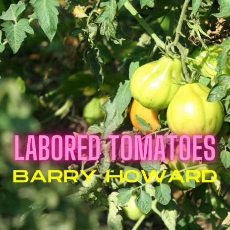 Labored Tomatoes | Boomplay Music