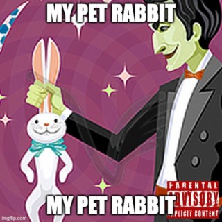 MY PET RABBIT