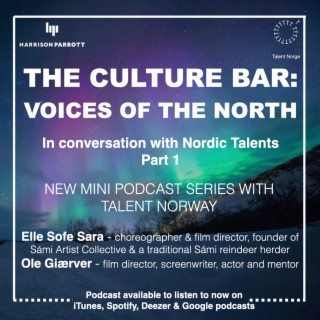 The Culture Bar: Voices of the North - In Conversation with Nordic Talents Part 1