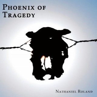 Phoenix of Tragedy