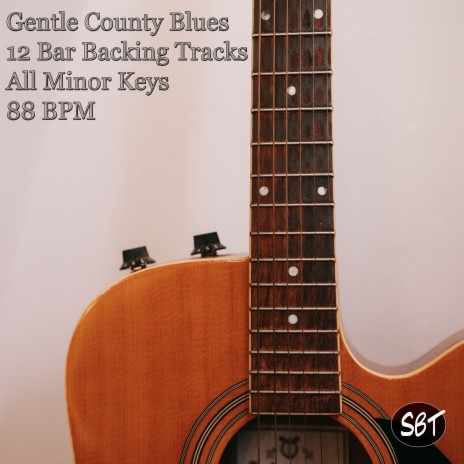 Gentle County Blues 12 Bar Guitar Backing Track in D Minor 88 BPM | Boomplay Music