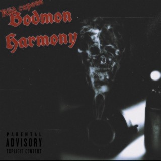 BodMon Harmony lyrics | Boomplay Music