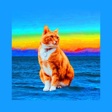 Blue Ocean Cat
