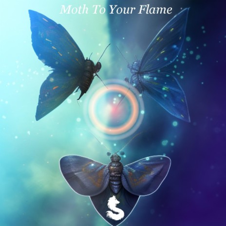 Moth To Your Flame