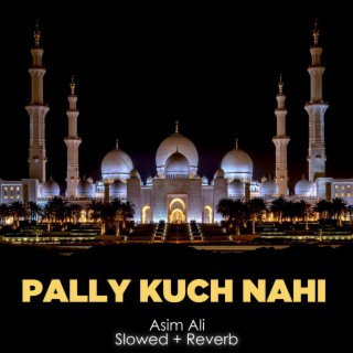 Pally Kuch Nahi Lofi