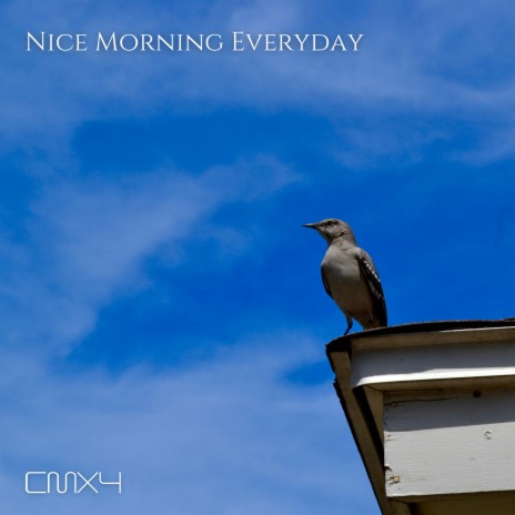 Nice Morning Everyday | Boomplay Music