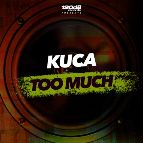 Too Much (Extended) | Boomplay Music
