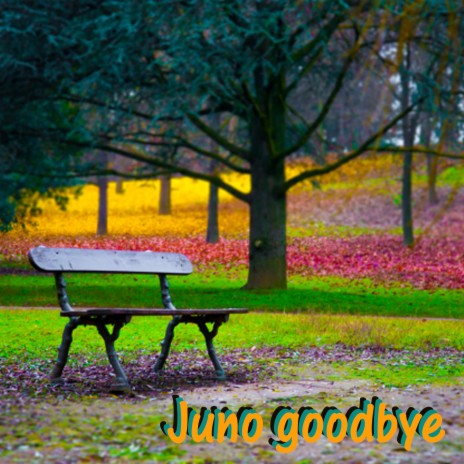 Juno goodbye | Boomplay Music