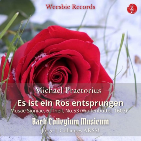 Es ist ein Ros entsprungen ft. Bach Collegium Musicum