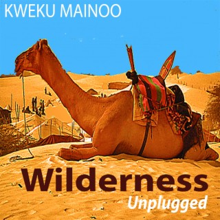Wilderness (Unplugged)