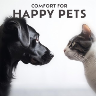 Comfort for Happy Pets: Reducing Anxiety and Promoting Sleep fo Dogs & Cats
